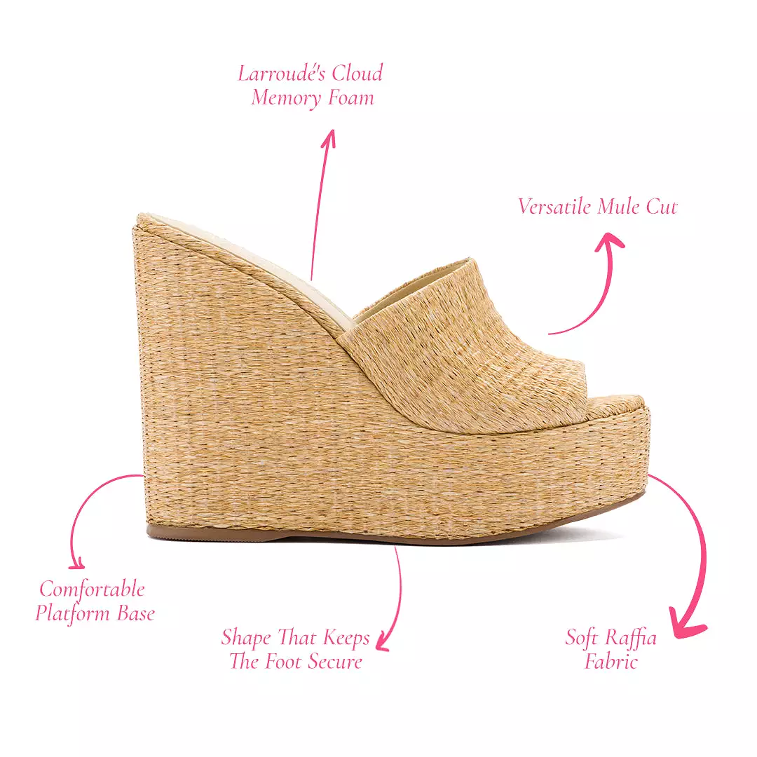 Larroudé x Jennifer Fisher Wedge Mule In Sepia Raffia