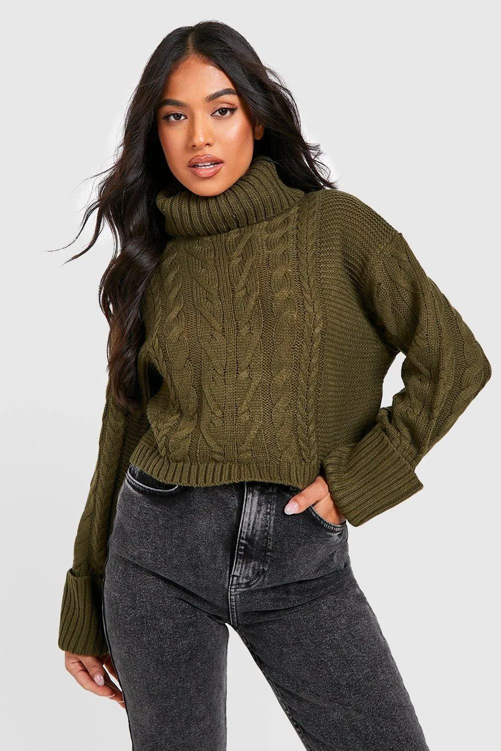 Petite Cable Knitted Turtleneck Sweater